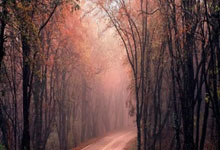 今夜突围战来临，武汉三镇围绕中超外线爆发，态度坚定，训练强度明显提升的简单介绍