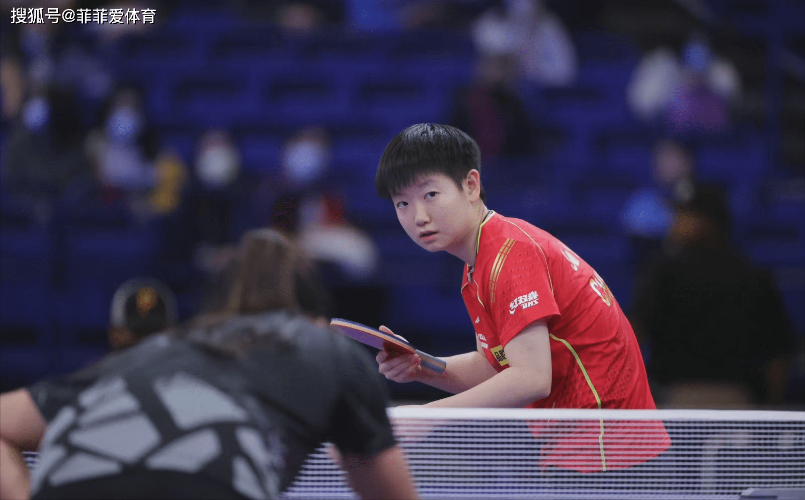 今晚体能课后,那不勒斯强势反弹备战欧篮联,压力陡增,临场指挥获称赞的简单介绍 今晚体能课后,那不勒斯强势反弹备战欧篮联,压力陡增,临场指挥获称赞的简单介绍